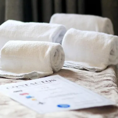 Silva's * 加亚新城